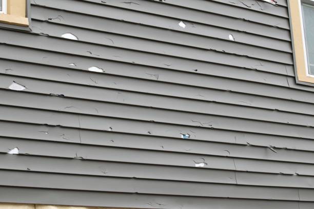 Best Vinyl Siding Installation  in Woonsocket, RI